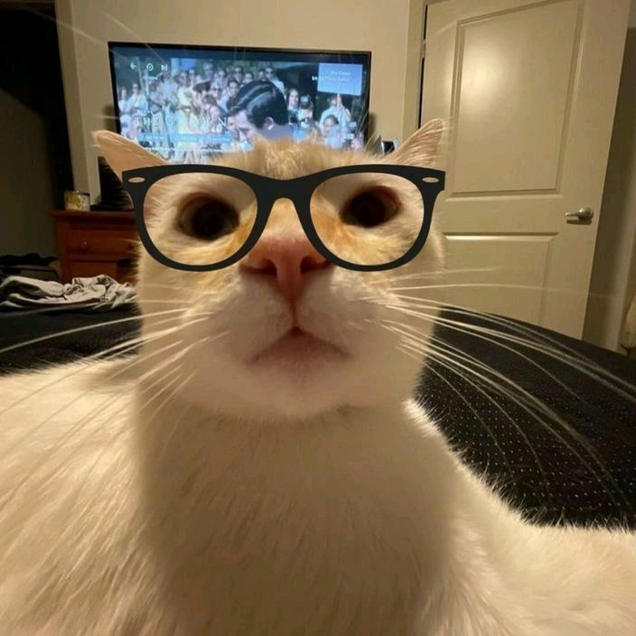 kênia :P