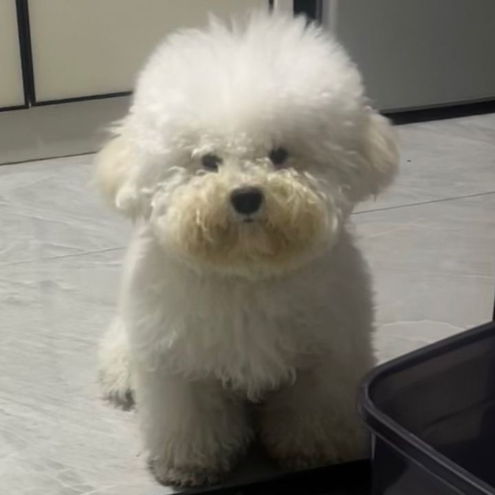 Huizai