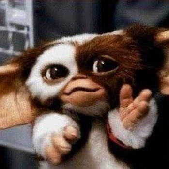 Gremlins597➖