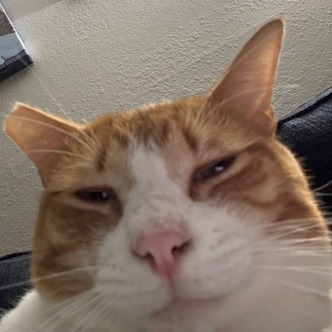 MegASMR
