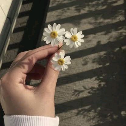 Nagita_🦋