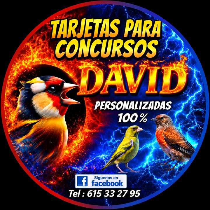 david tarjetas