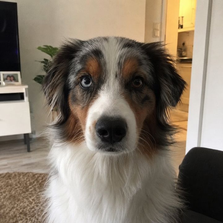 Fiona.testet