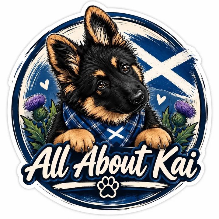 All_About_Kai