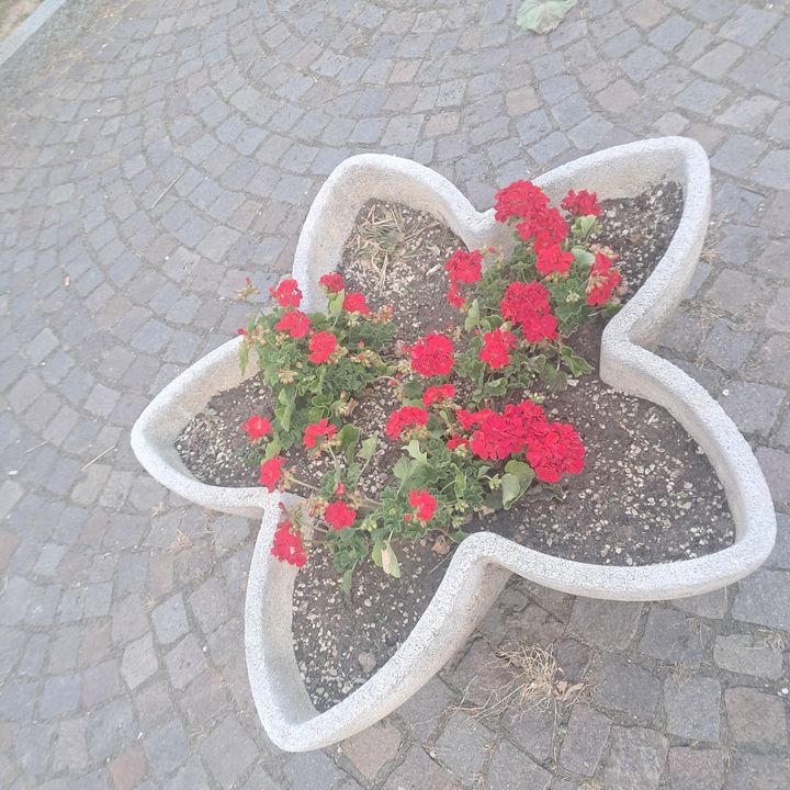 مروان  2