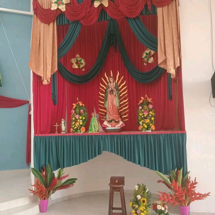 magui