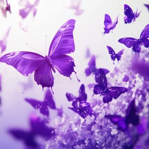 Li-Li💜🦋