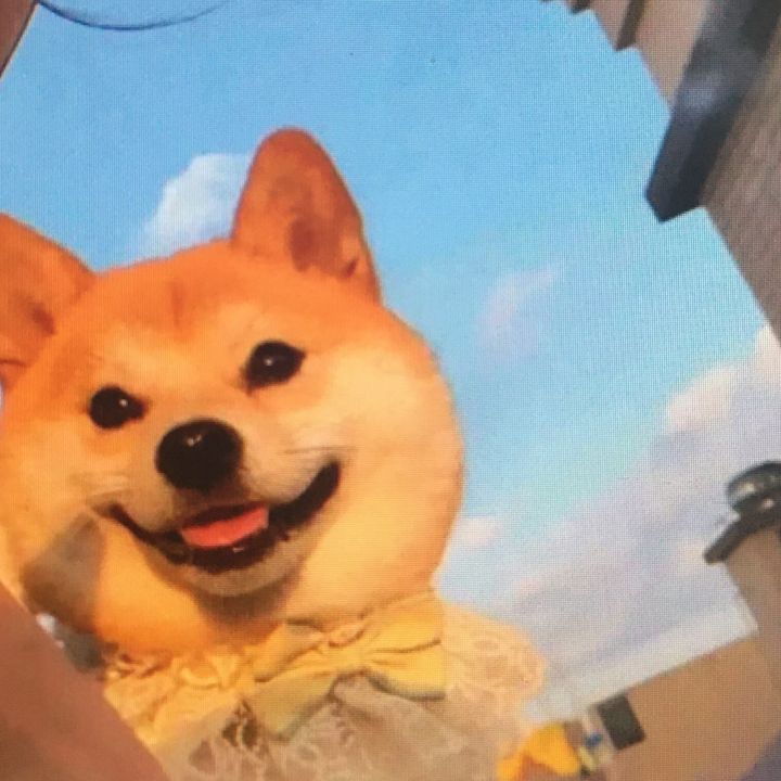 yhjbbbb