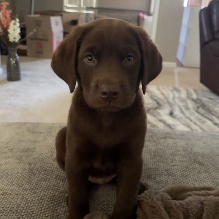 💸🐾𝒞𝒶𝓈𝒽🐾💸
