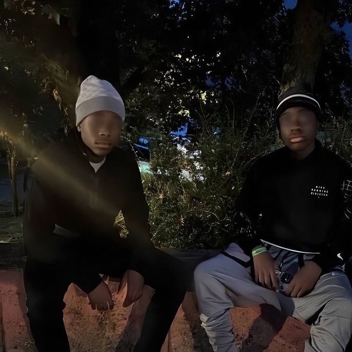 稲