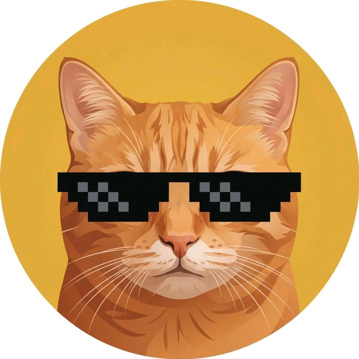 Modo Gato