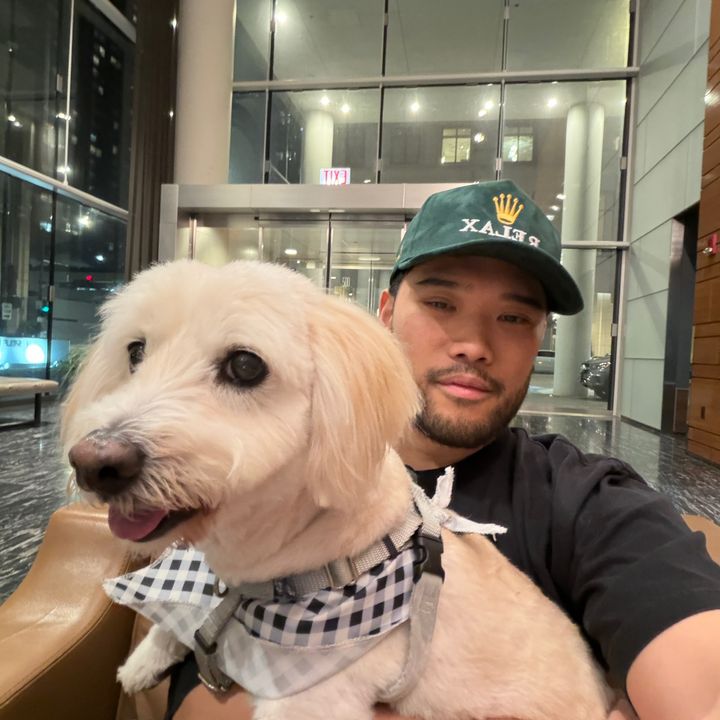 DealSauce