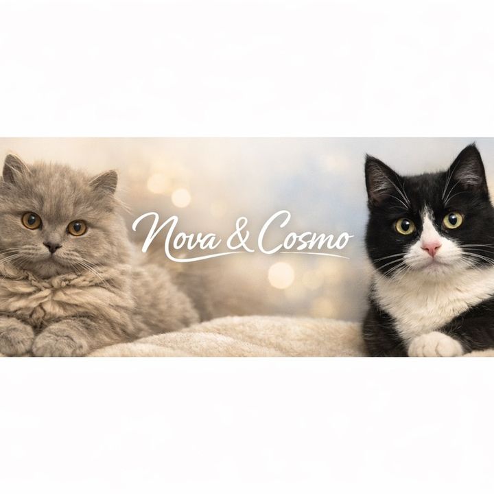 Nova&Cosmo