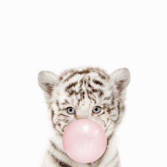 𝐆𝐞𝐨𝐫𝐠𝐞 🐆