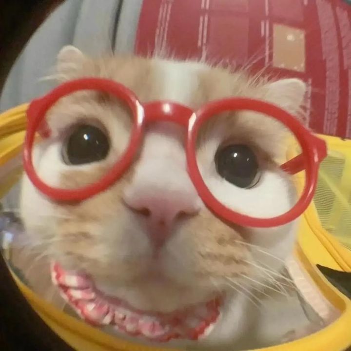 nadiaypncn7