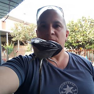 Sergio Belcastro♉