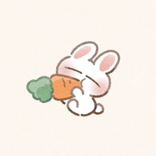 うさ🎀美容垢