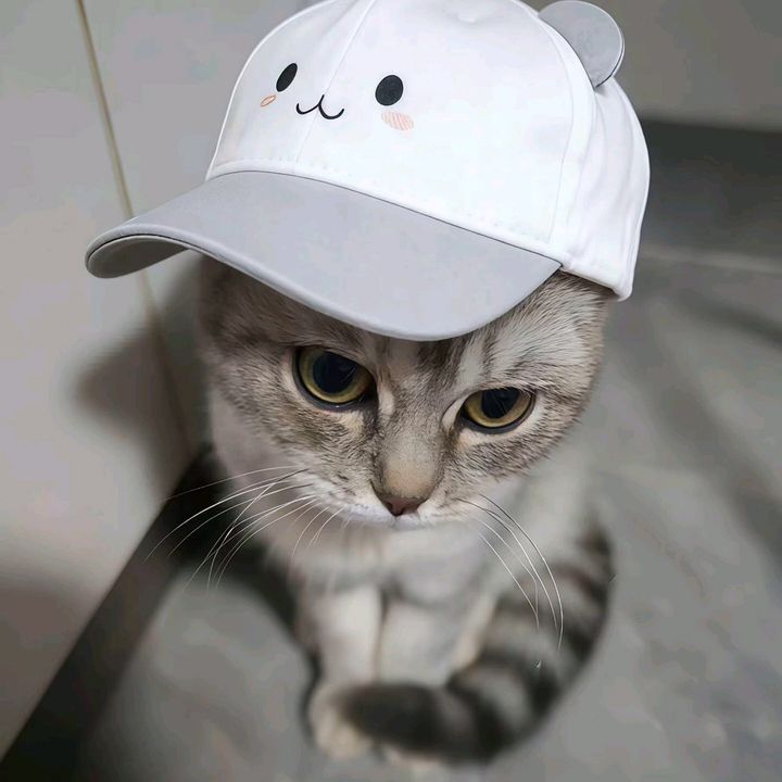 woou8888