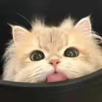 Hugo