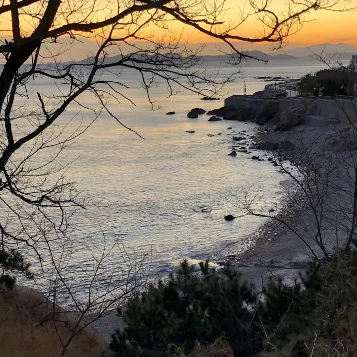 ellarao