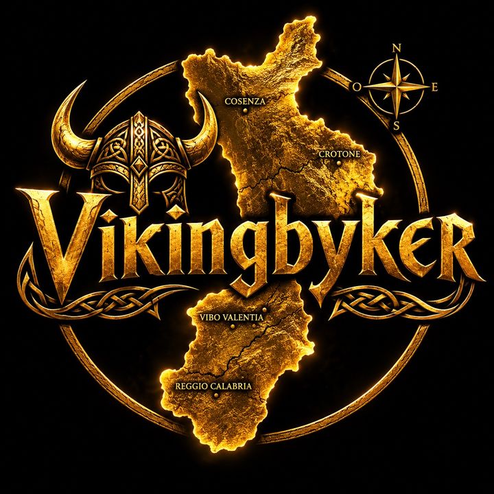 Vikingbyker