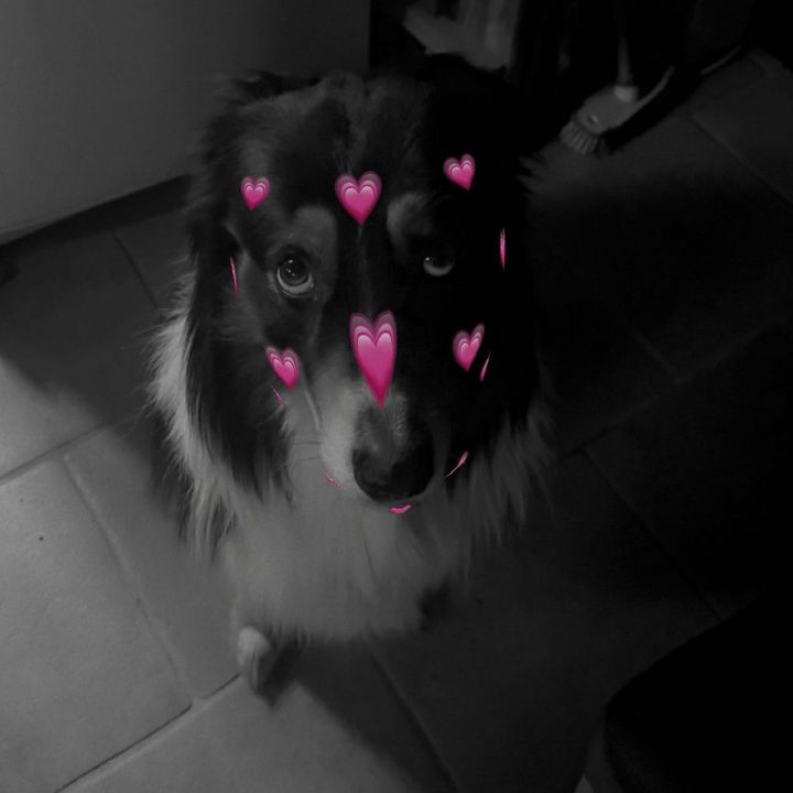 Nicklas