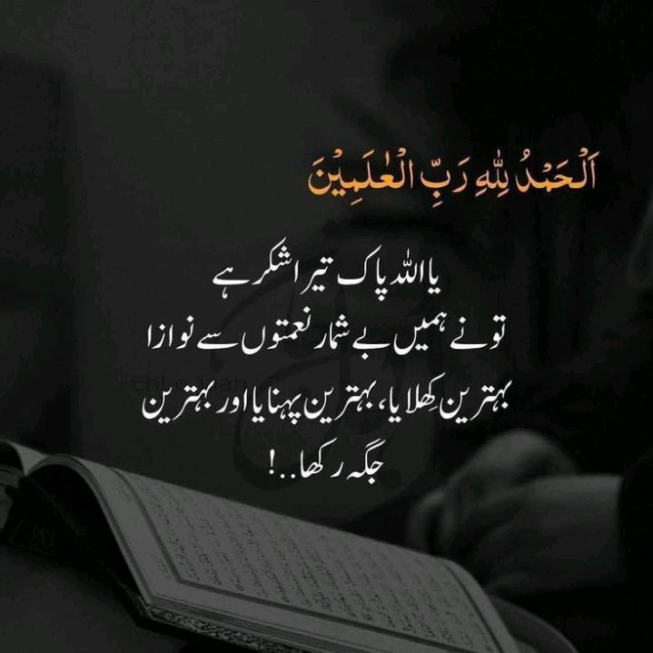 mohammedmujahid