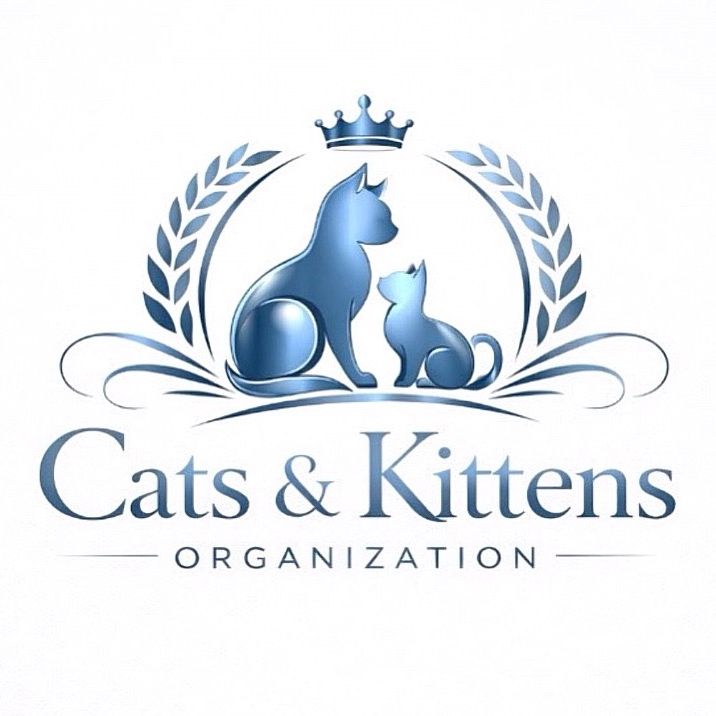 Cats & Kittens Organization