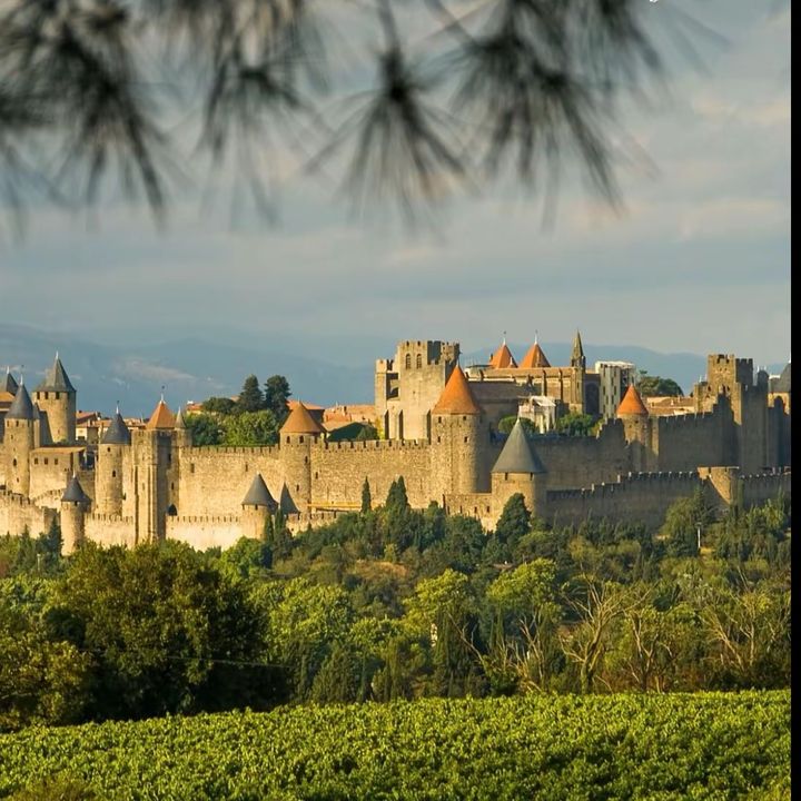 🇦🇫  France   🇫🇷