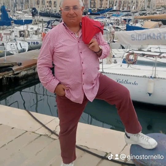 gino stornello