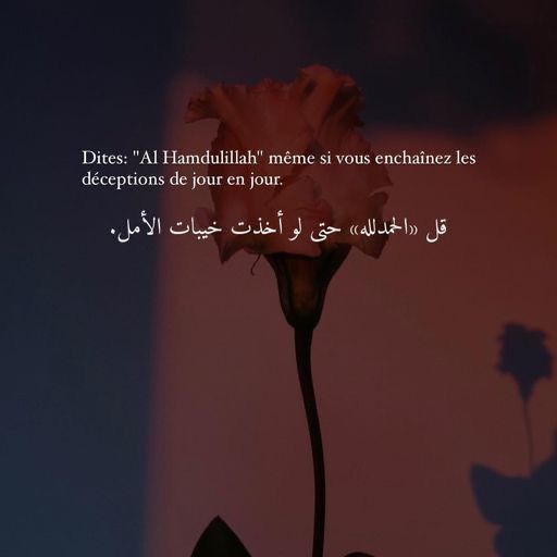 النعومة