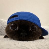 keegaobdqid