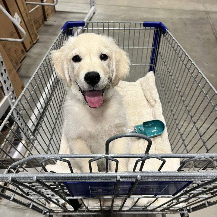 Winston