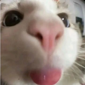 meoreview