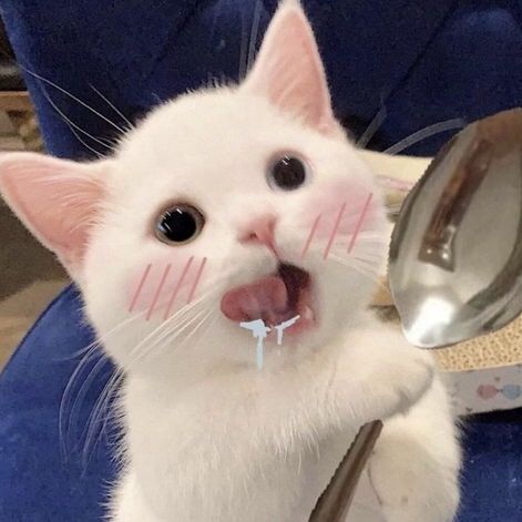 bgfhhj998