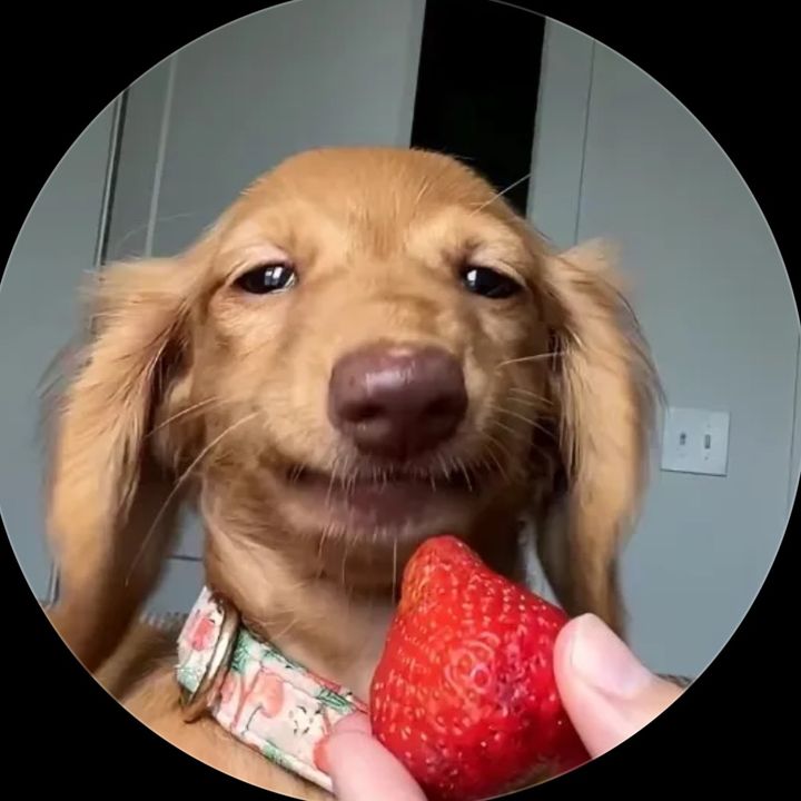 rykfgllr3se