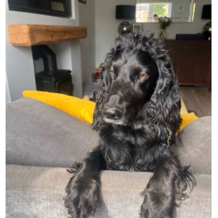 Rory’s Life & Deals
