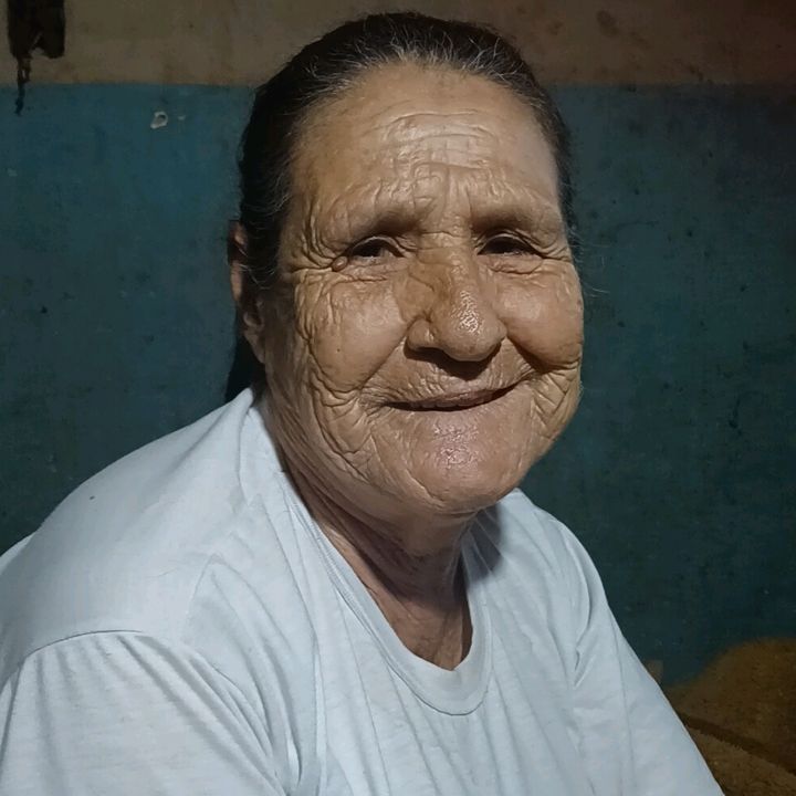 Maria therezinha De campos
