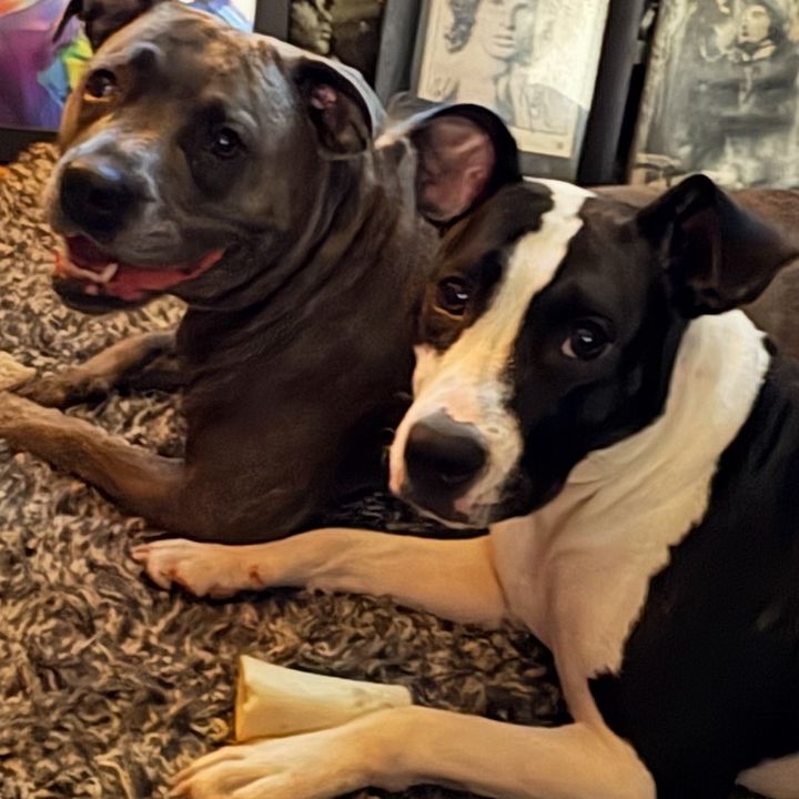 Layla-zena