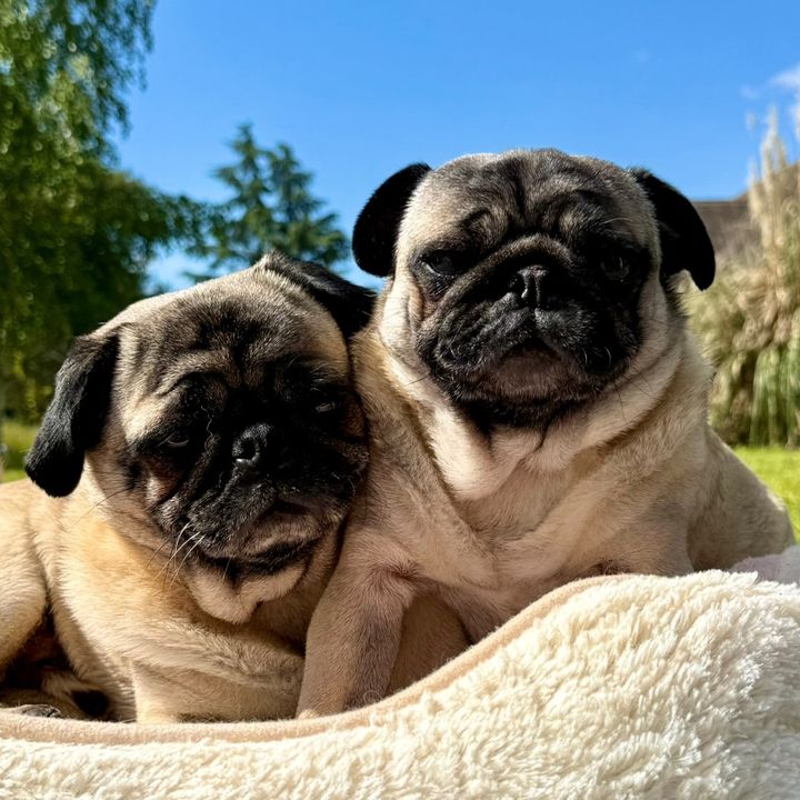 poupi & babychou 🐾