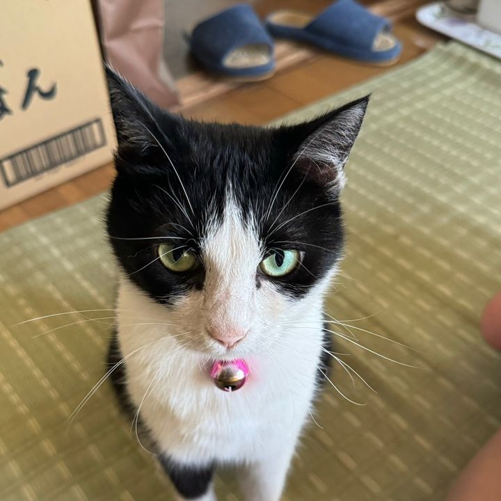 ΩおもちΩ