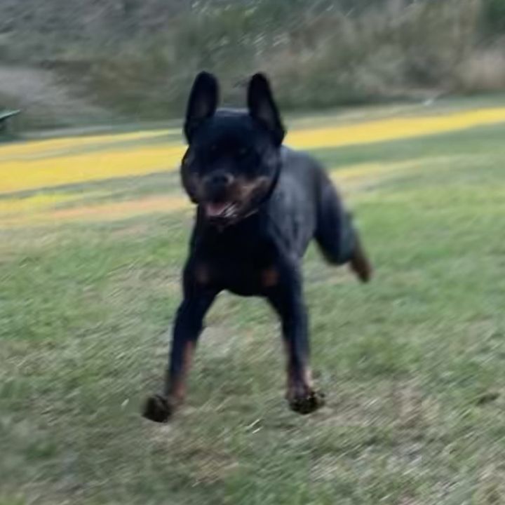 zeeunleashed