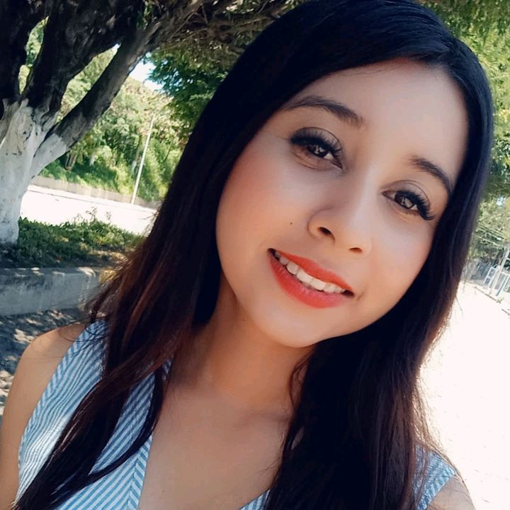 andys