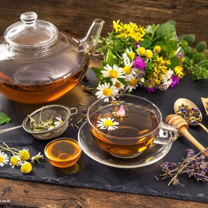 Pecinta herbal
