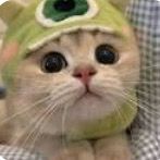 Lyndo