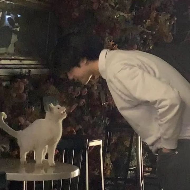 Kの人間洗脳術