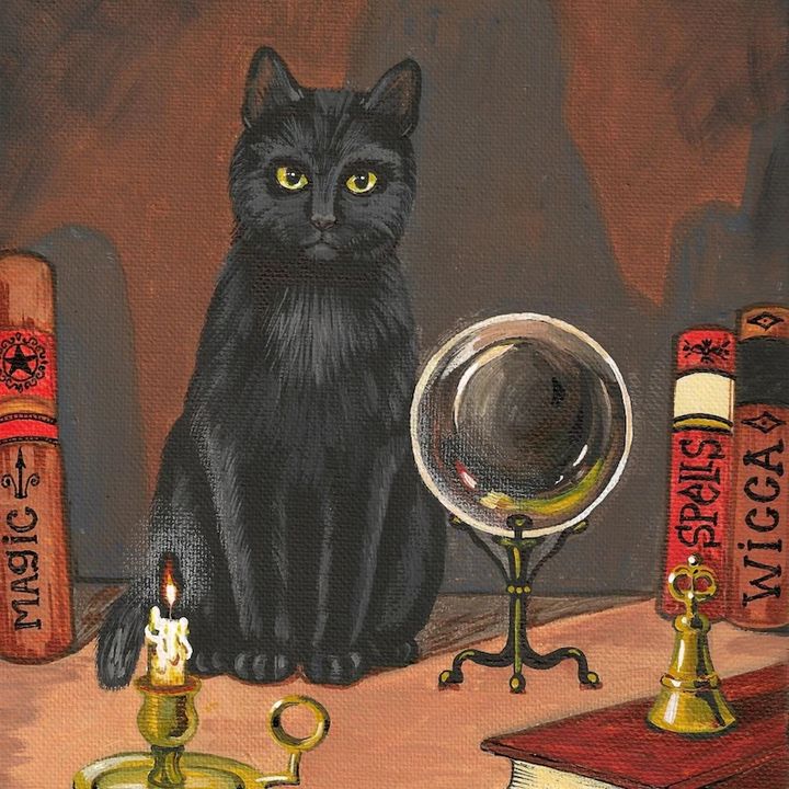 🐈⬛ BlackCat