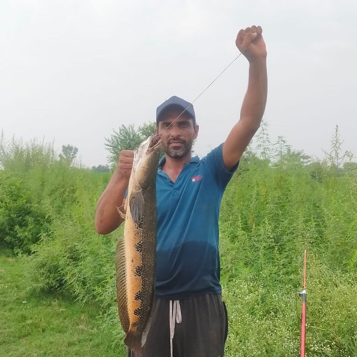 King Khizer