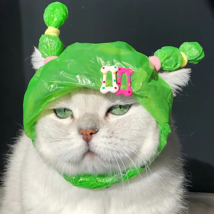 victoxgmrb6