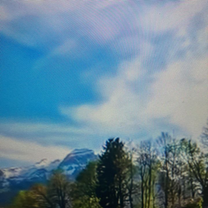 ttmvbfu5